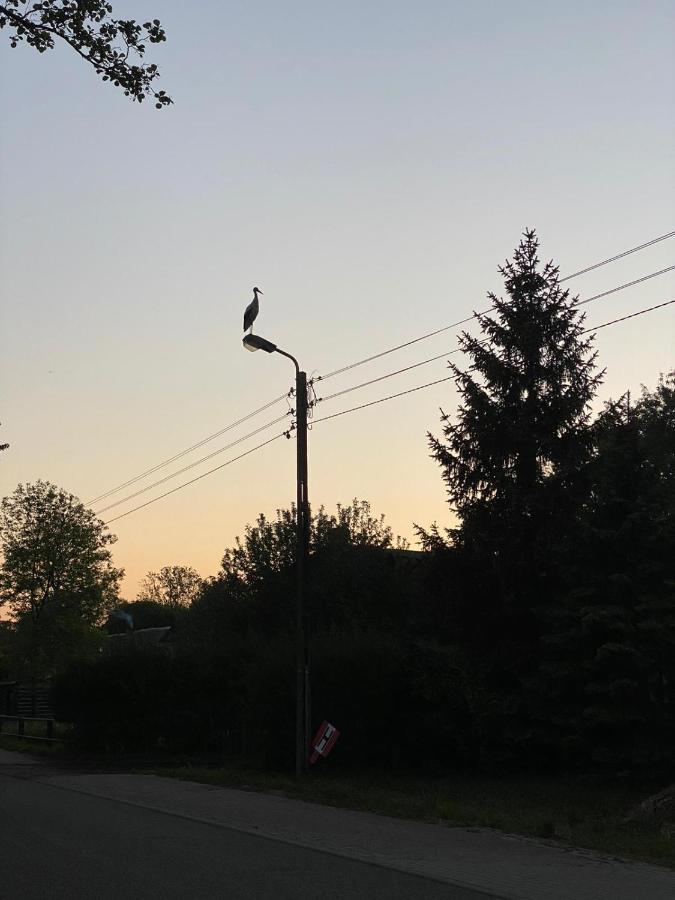 Koja Villa Karwienskie Bloto Drugie Buitenkant foto